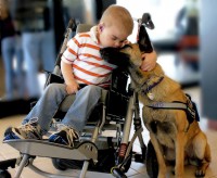 /album/fotos-que-te-impactaran/perro-jpg/