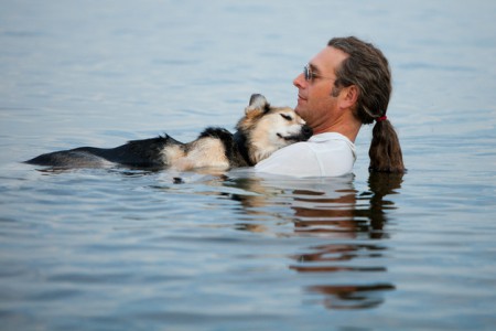 Cuando el propietario mostró amor a este perro viejo y lo baño en agua para ayudar a aliviar el dolor de artritis 